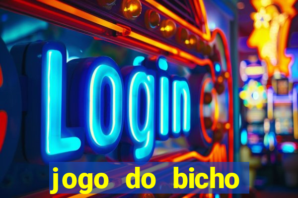 jogo do bicho crash bingo